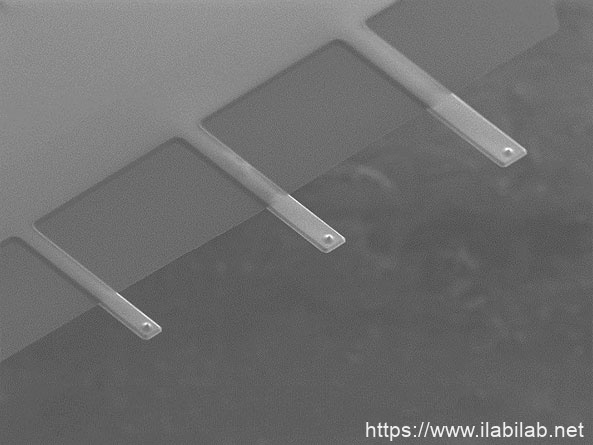 IMG-3D view SEM image of the qp-fast uniqprobe AFM cantilevers and AFM tips