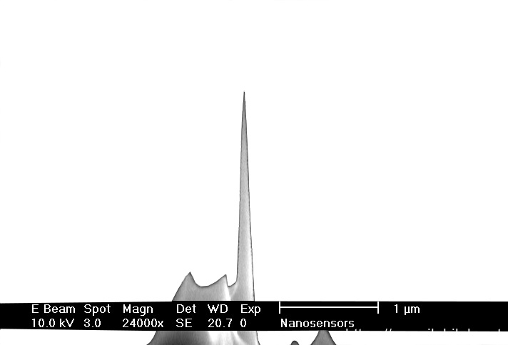 IMG-Close up SEM image of AR10 high aspect ratio AFM tip