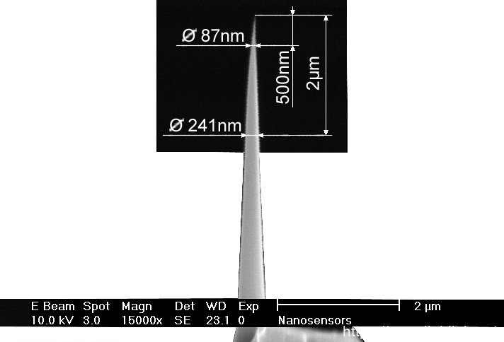 IMG-Close-up view SEM image of AR5 AFM tip