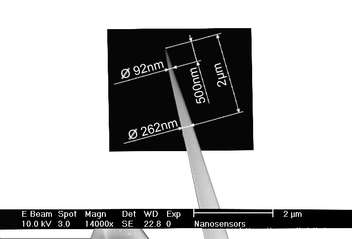 IMG-Close up view SEM image of AR5T high aspect ratio AFM tip