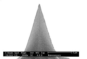 IMG-Diamond Coated AFM Tips