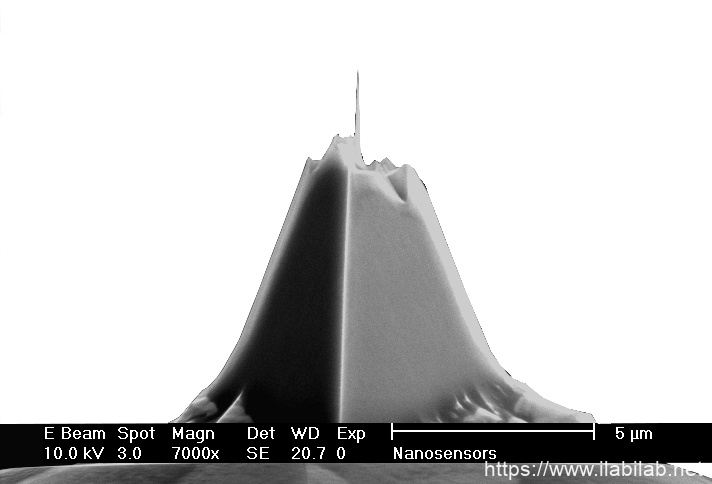 IMG-Front view SEM image of AR10 high aspect ratio AFM tip