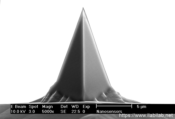 IMG-Front view SEM image of PointProbe® Plus AFM tip