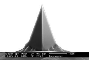 IMG-Gold Coated AFM Tips