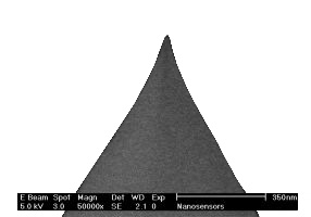 IMG-Magnetic Coated AFM Tips