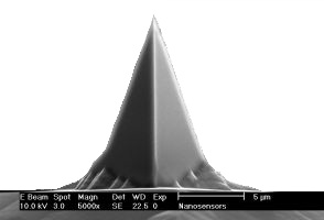 IMG-Platinum-Iridium Coated AFM Tips