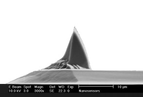 IMG-Rotated AFM Tips