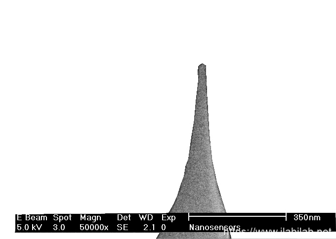 IMG-SEM image of SuperSharpSilicon AFM tip