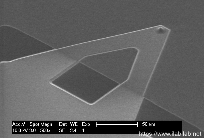 IMG-SEM image of qp-HBC AFM cantilever and AFM tip