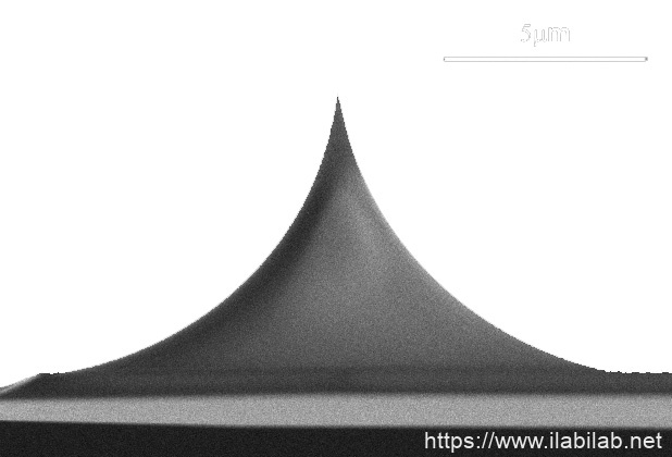 IMG-Side view SEM image of uniqprobe AFM tip