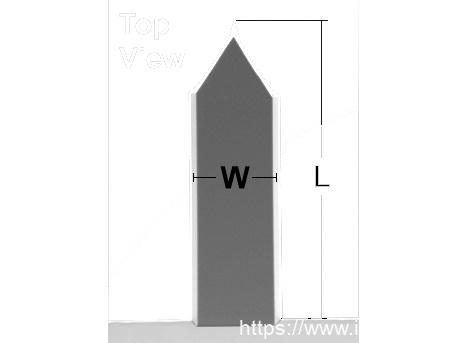 IMG-Top view SEM image of ATEC AFM cantilever and AFM tip