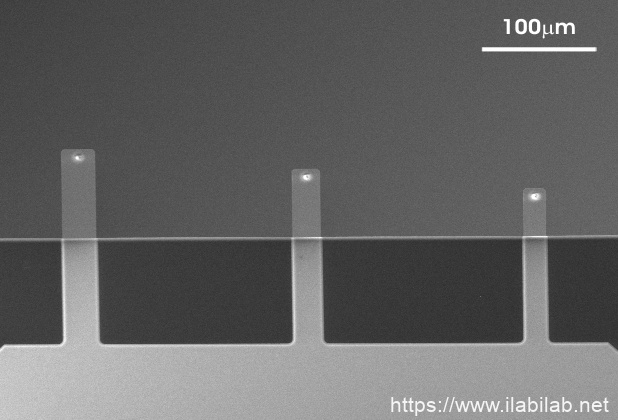 IMG-Top view SEM image of uniqprobe qp-BioAC AFM probe with three AFM cantilevers and AFM tips