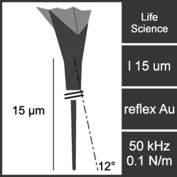 Lifescience