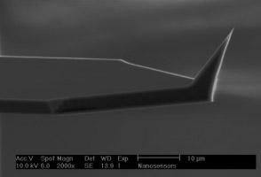 afm accessories-nanosensors-afm tips